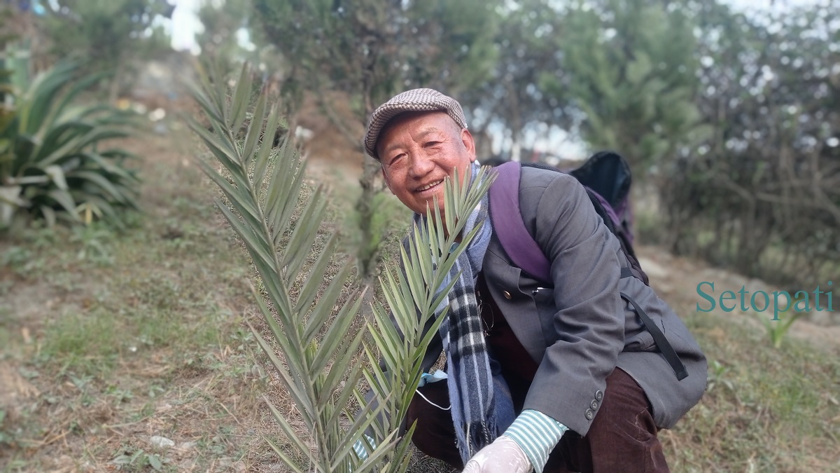 नियात्रा लेखक जय छाङ्छा गौशालामा आफूले रोपेको खजुरको बोटसँग। तस्बिरः सबिना श्रेष्ठ/सेतोपाटी